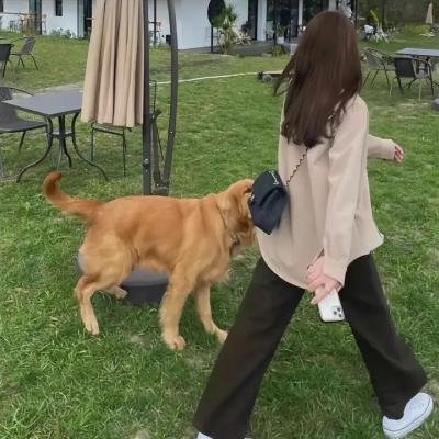 野猫嬉春